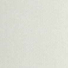 Бумага карточная тиснение "Лен" белый Гознак А-3,  200 г/м2