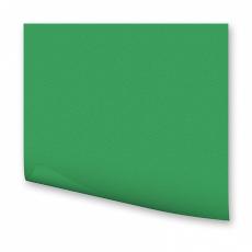FOLIA  Цветная бумага,130 гр/м2, 21х30см, изумрудный 2038