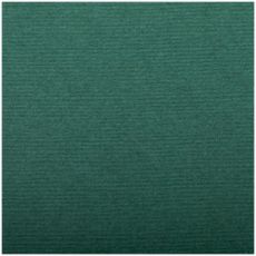 Clairefontaine "INGRES" Бумага для пастели, 50х65, 130 г/м2, верже, 30% хлопка, темно-зеленый 93498С