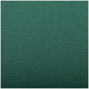 Clairefontaine "INGRES" Бумага для пастели, 50х65, 130 г/м2, верже, 30% хлопка, темно-зеленый 93498С