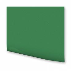 FOLIA  Цветная бумага,130 гр/м2, 21х30см, зеленый мох 2053