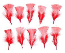 Набор перьев для декора 10 шт., размер 1 шт. 10*4 см, цвет - красный, Арт. 1250932