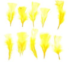 Набор перьев для декора 10 шт., размер 1 шт. 10*4 см, цвет - желтый, Арт. 1250933