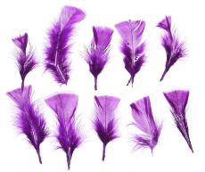 Набор перьев для декора 10 шт., размер 1 шт. 10*4 см, цвет - фиолетовый, Арт. 1250934