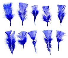 Набор перьев для декора 10 шт., размер 1 шт. 10*4 см, цвет - синий, Арт. 1250937