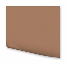 FOLIA  Цветная бумага,300 гр/м2, 50х70см, светло-коричневый 6175