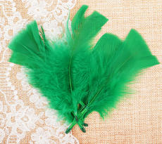 Набор перьев для декора 10 шт., размер 1 шт. 10*4 см, цвет - зеленый, Арт. 1250939
