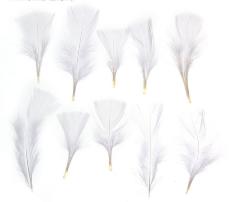Набор перьев для декора 10 шт., размер 1 шт. 10*4 см, цвет - белый, Арт. 1250942