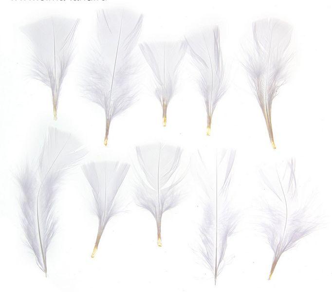 Набор перьев для декора 10 шт., размер 1 шт. 10*4 см, цвет - белый, Арт. 1250942