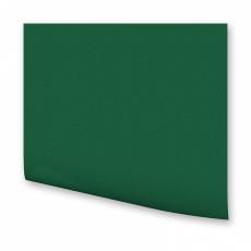 FOLIA  Цветная бумага,300 гр/м2, 50х70см, зеленая ель 6158