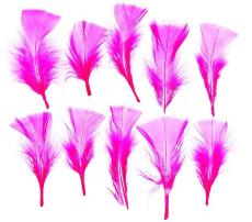 Набор перьев для декора 10 шт., размер 1 шт. 10*4 см, цвет - ярко-розовый, Арт. 1250944