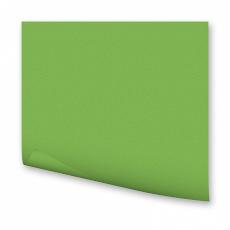 FOLIA  Цветная бумага,130 гр/м2, 35х50см, светло-зеленый 6751