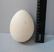 Яйцо выс. 13 см  Арт. 120