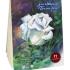 Планшет для акварели "Белая роза" 20 л. А5 (130 * 188), 260 г/м2, палевая лен Лилия Холдинг