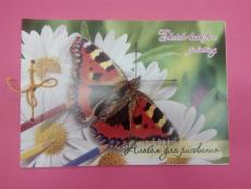 Альбом для рисования на сутаже "Бабочки" А-4, 30 л. 100 г/м2