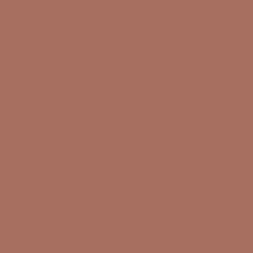 LANA Бумага для пастели, 160г, 42х29,7,  светло-коричневый  185