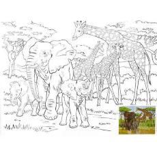 Холст на картоне с контуром, 30 х 40 см, Слоны и жирафы DK13705-M