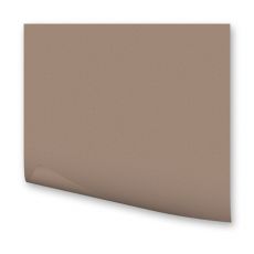 FOLIA  Цветная бумага,300 гр/м2, 50х70см, капучино  6173