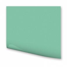 FOLIA  Цветная бумага,130 гр/м2, 21х30см, мята 2025
