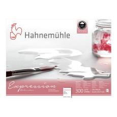 Hahnemuhle Альбом-склейка для акварели,"Expression" 30*40 см, 20 л,100% хлопок, cредн.зерно,300 г/м2